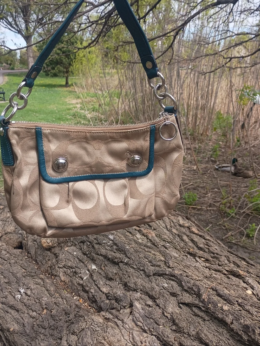 Coach hardware used seem